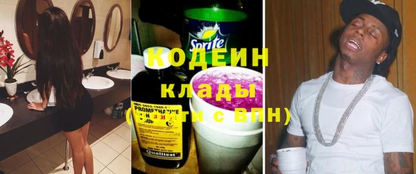 трава Белокуриха