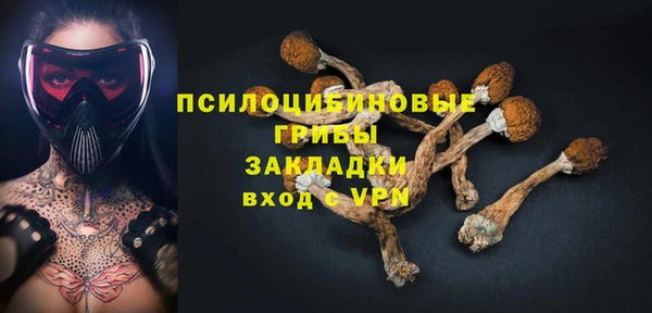 трава Белокуриха