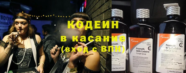 трава Белокуриха