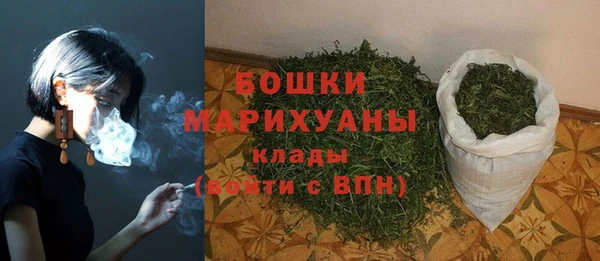 крисы Пересвет