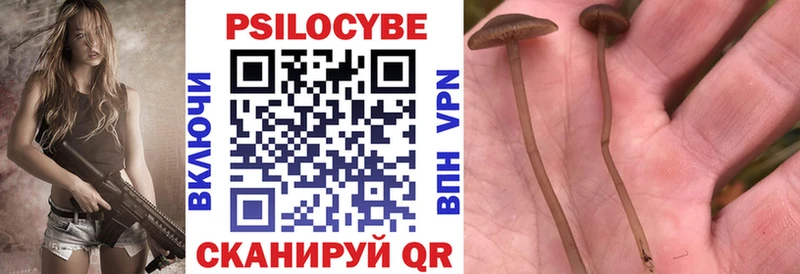 Галлюциногенные грибы мухоморы  Реж 